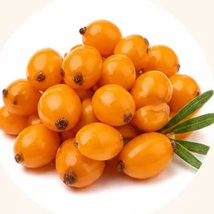 Sea buckthorn