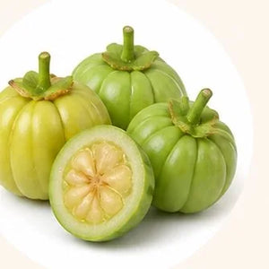 Garcinia cambogia