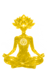 Gut